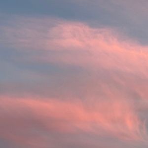 Meet your Posher, Kylie